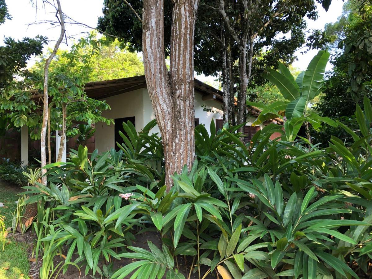 Casa Aracua Trancoso别墅 外观 照片